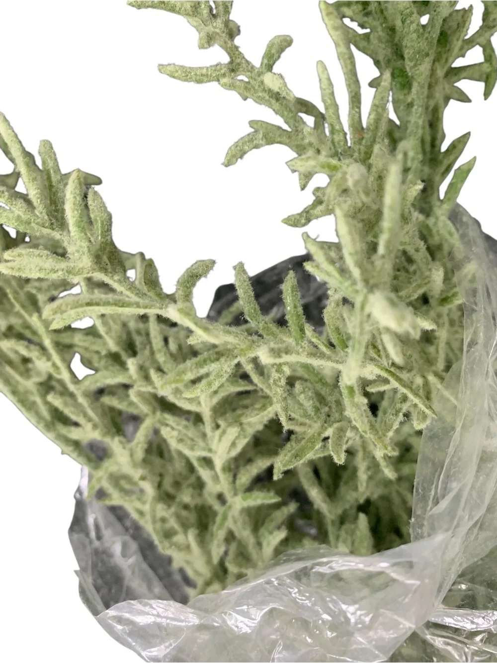 AFLORAL Faux Rosemary Herb Draping Bush
